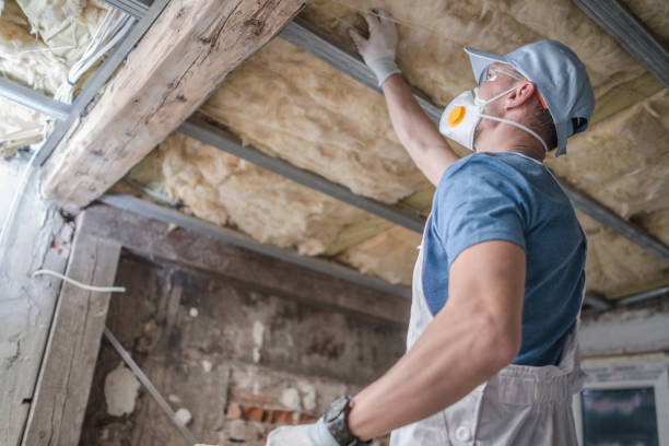 Best Insulation Maintenance and Repair in Lake Hiawatha, NJ